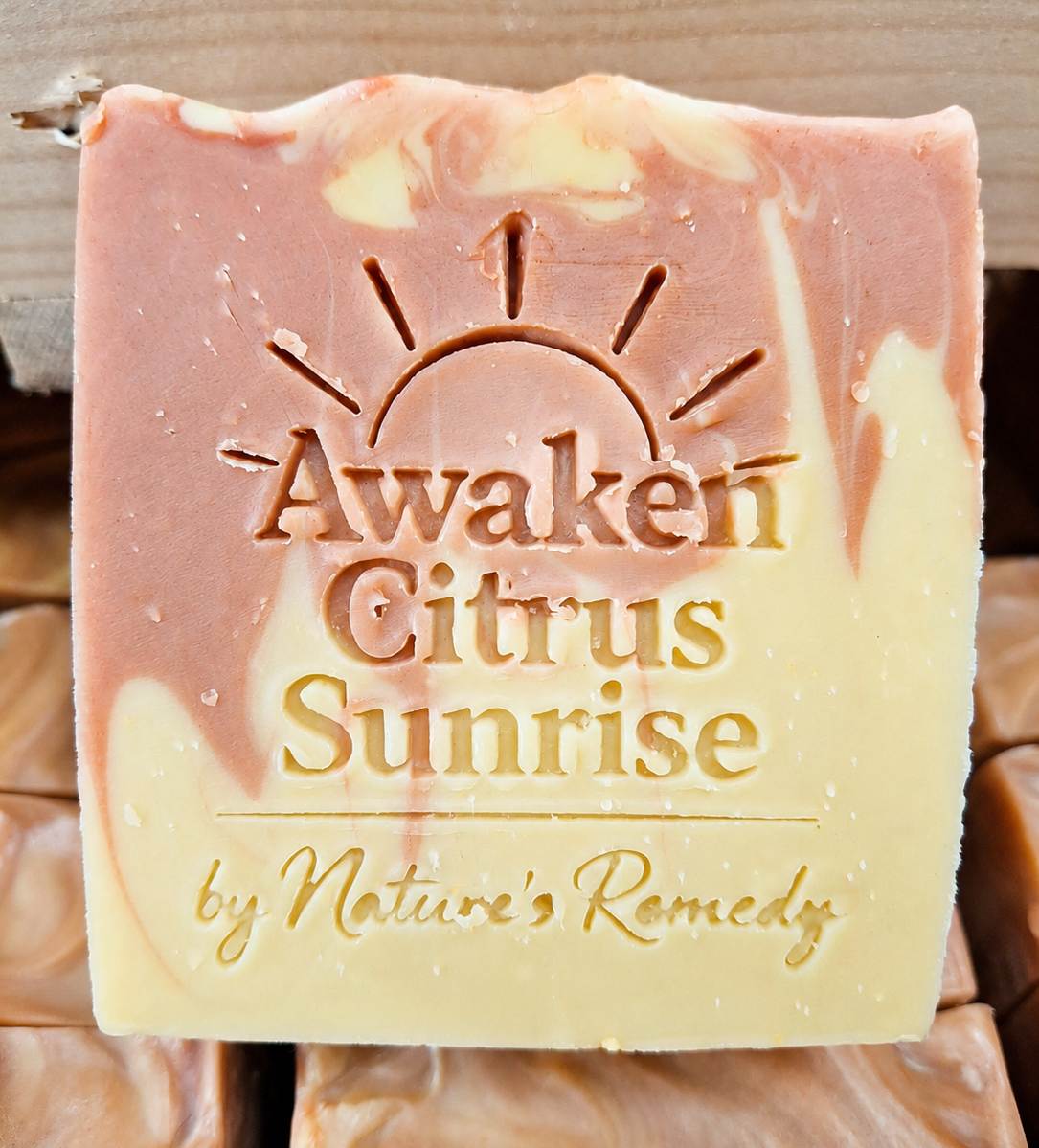 Soap Stash Bundle
