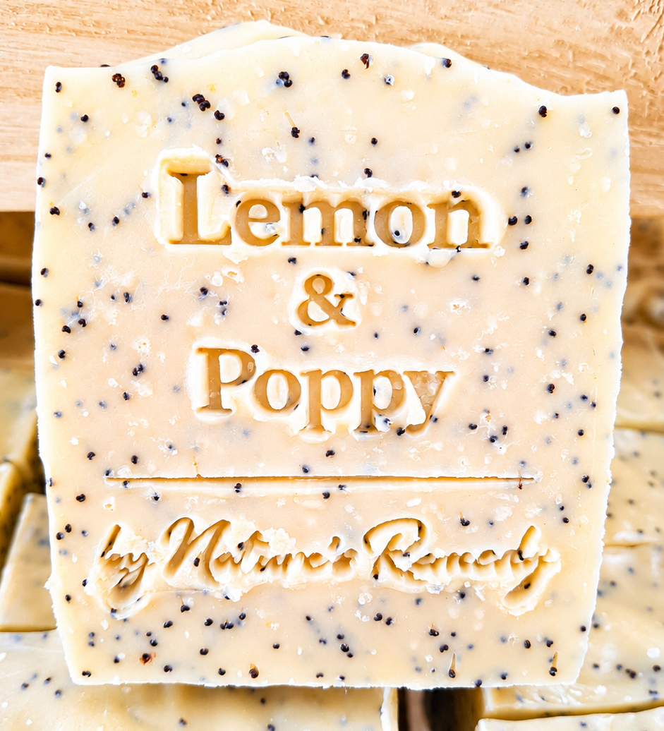 Soap Stash Bundle